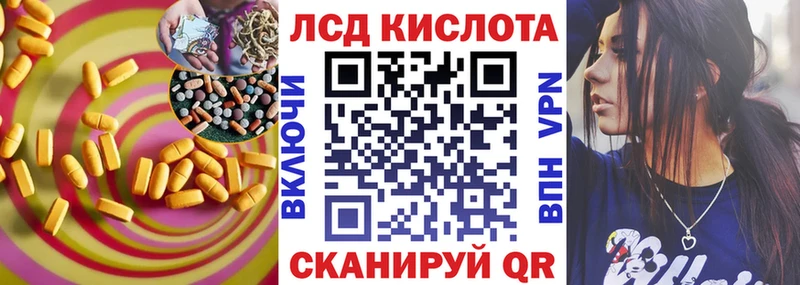 ЛСД экстази ecstasy  Шенкурск 